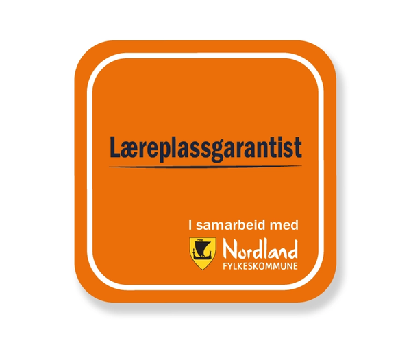 Læreplassgarantist - Miras Elektro